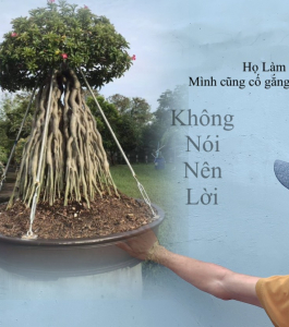 HOA SỨ 024