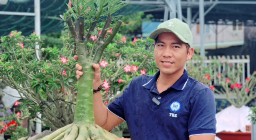HÌNH ẢNH TRUYỀN BONSAI LÀM RỄ 